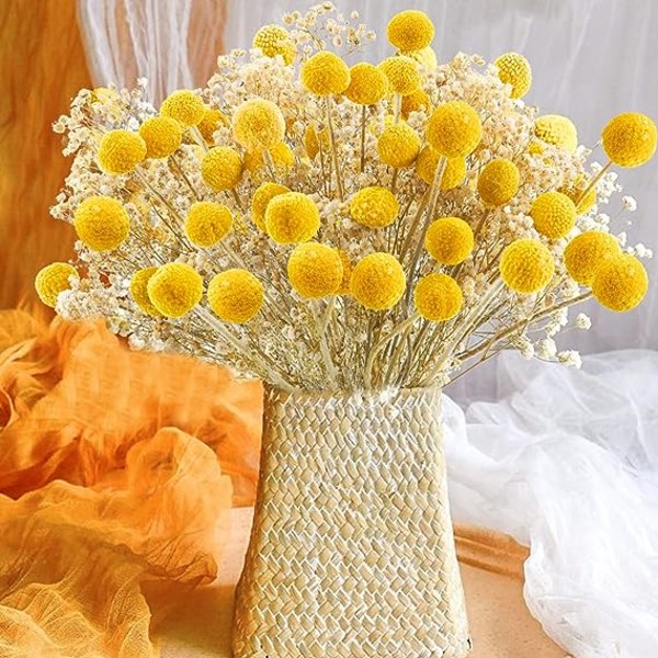 30 stk Naturlige Tørrede Blomster Tørrede Craspedia Billy Balls Blomster Billy Buttons 16’’ Gule Blomster Arrangementer Buket til Boho Landbrugsbryllup Hjem