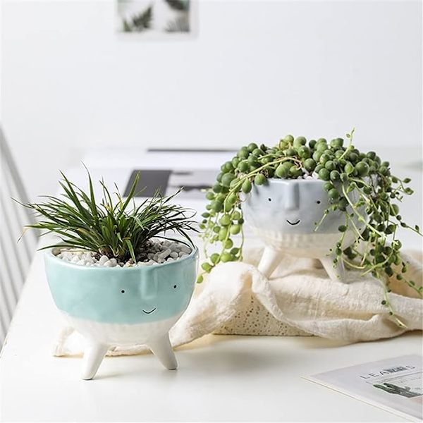 Söt Vas Succulent Blomkruka Handritad Cartoon Liten Blomvas Dekorativa Hantverk Blomsterarrangemang (Färg: C, Storlek: En Storlek)