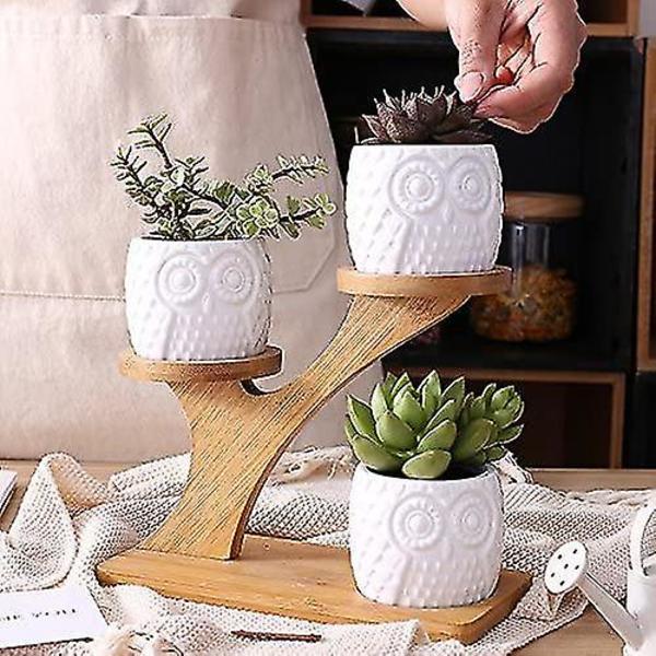 Söt uggla kruka suckulent planter blomkruka dekor för hemmakontor skrivbord