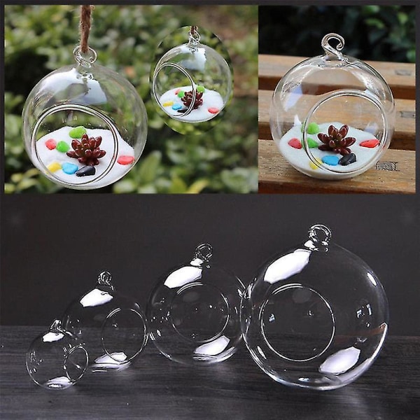 8/10/15 cm gjennomsiktig hengende glass blomsterplantekar vase flaske Terrarium dekor mini klar vegg ball blomster hengende glass tank