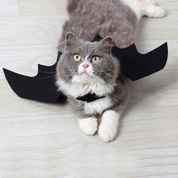 Husdjursdräkt för katt, Halloween-fladdermusvingar, dräkter för husdjur, kläder för små hundar och katter, krage, cosplay-fladdermusdräkt