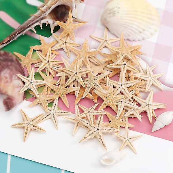 100 kpl Luonnollisia Tähtikaloja ja Merikuoria Ranta-askarteluun DIY Ranta-askarteluun 1-5cm