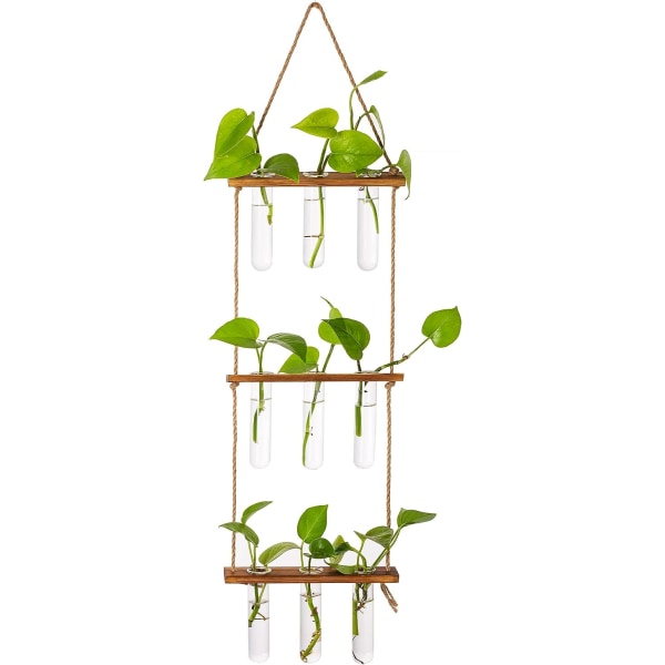 Hengende planteformeringsstasjoner, rør, veggglassplantebord Terrarium med trestativ forplantningsstasjon Vaser reagensrør for planter forplante H