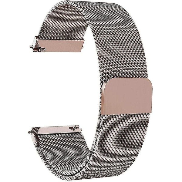 Til Garmin Vivomove Style/GarminMove Style Mesh Erstatningsrem Magnetisk Smart Watch Band (20 mm)