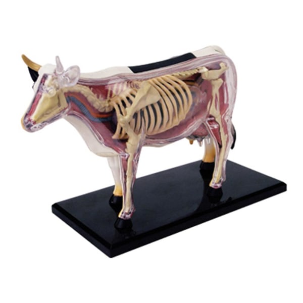 Animal Anatomy Model 4d Ko Intelligens Montering Leksak Undervisning Anatomi Modell Gör-det-själv-apparater