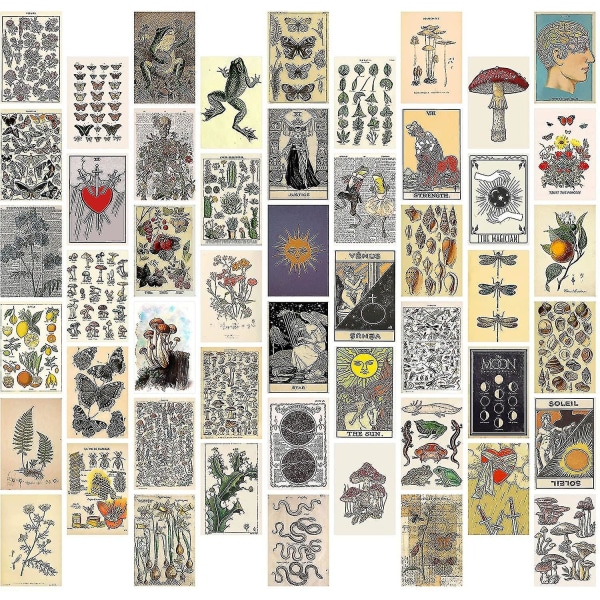 50 kpl:n pakkaus Retro Plant Wall Collage Esteettinen kuva seinäkoristelu