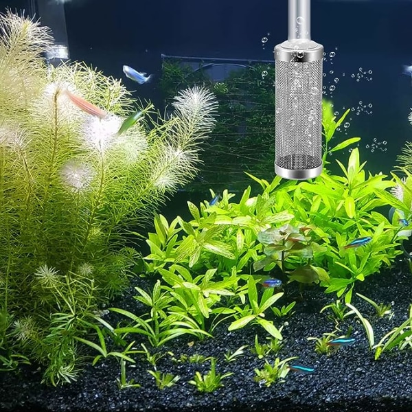 Filterinntaksstrainer, Akvarium Fiske Tank Forfilter Inntaksfilter 12mm Rustfritt Stål Deksel Filterbeskytter