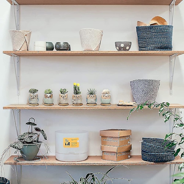 Sukkulente potter, 6cm søde kaktus potter dyr plante potte små blomster potter