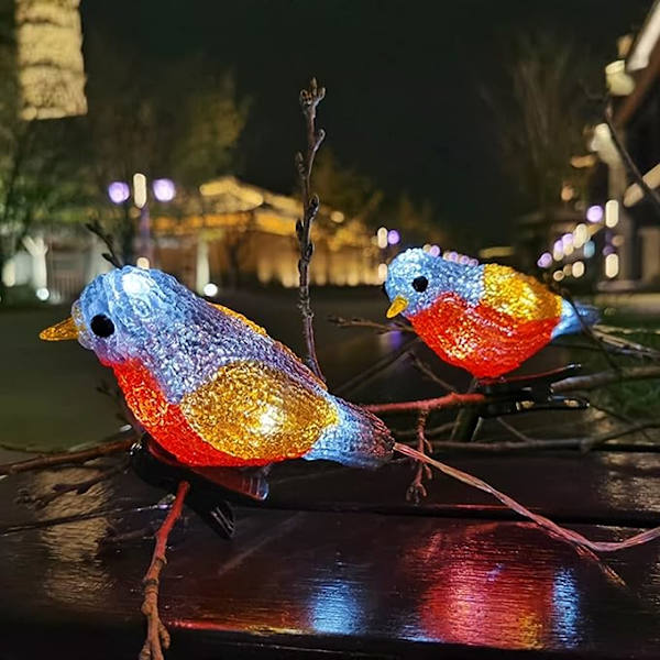 Vattentäta 5 LED Akryl Fågel Girlang Ljussträng Hem Trädgård Fest Dekoration Semester Drivs Landskap Fairy Lamp (Storlek: C)