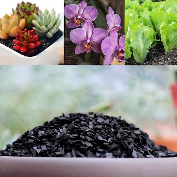 Hortikulturkull for planter 1 qt av Doter, helt naturlig løvtrekull, aktivert kull for jordforbedring, orkideer, terrarier (1qt)