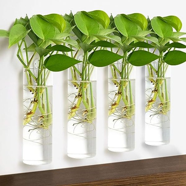Vägghängande Planterare, 4 st Glasplanterare Hängande Glas Terrarium, Glas Växtbehållare Väggvas Perfekt för Förökning av Hydroponiska Växter Hem G