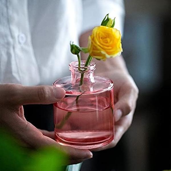 Glasvase Dekorativ Dekorativ vase Ny Multicololr Glasvaser Blomsterpotte Mini Flasker Dekoration Hjem Nordisk Tørret Transparent Hydroponisk Lille Bo