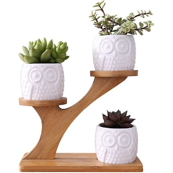Söt uggla kruka suckulent planter blomkruka dekor för hemmakontor skrivbord