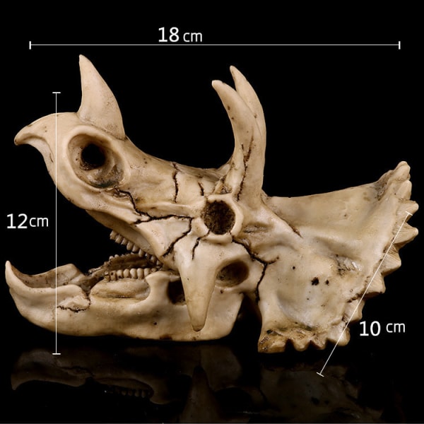 Stor harpiks dinosaur Triceratops hodeskalle dekor akvarium dekorasjon reptiler gjemmested fisketank ornament hjem landskap dekor