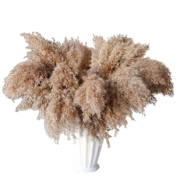 30 stjälkar torkat pampasgräs, vilt pampasgräs fluffigt pampas blommigt, 17 tum bulk pampasgräs dekor