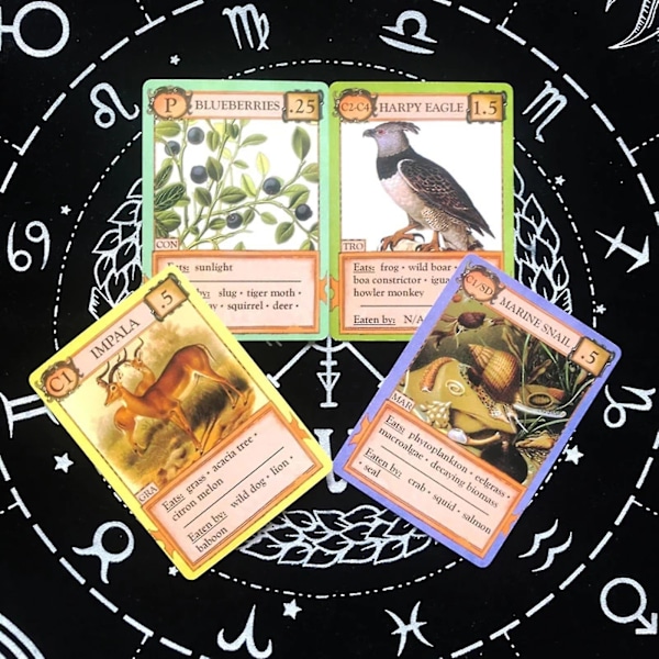 Tarot Deck Ecologies Fate Divination Tarot Card Brädspel