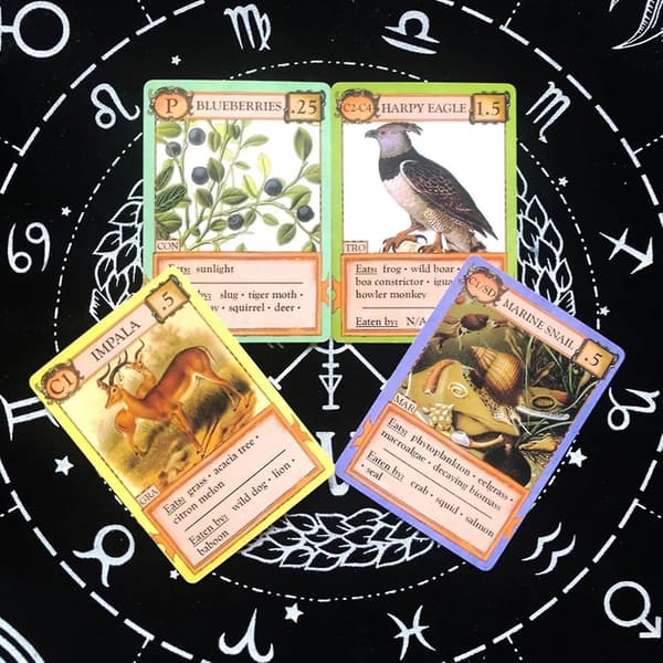 Tarot Deck Ecologies Fate Divination Tarotkort Brädspel