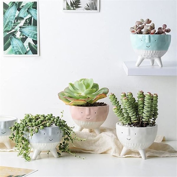 Söt Vas Succulent Blomkruka Handritad Cartoon Liten Blomvas Dekorativa Hantverk Blomsterarrangemang (Färg: C, Storlek: En Storlek)