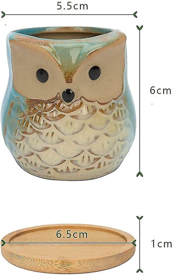 Sötta krukor för suckulenter, 6 cm, krukor för kaktusar, små blomkrukor