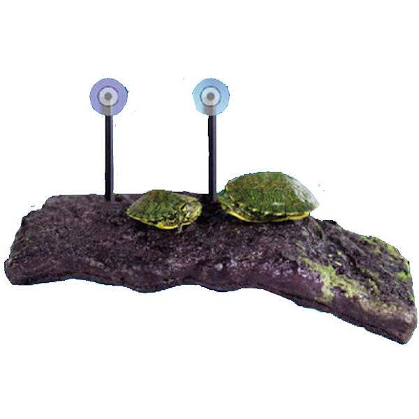 Turtle Dock (Mellem)