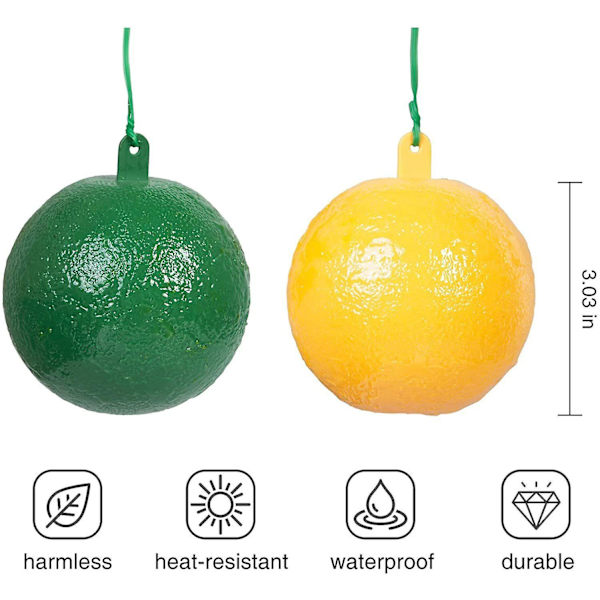 4-pak med fluesnapper til frugtfluer, citrus, store frugtfluer, klæbrig plade til frugtfluer, fluesnapper til frugtbutikker, frugtfluer