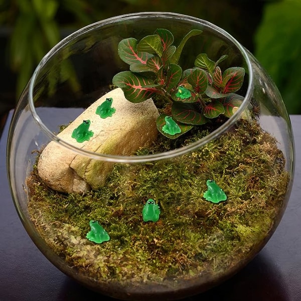 20 stk. Mini-frøer i harpiks, realistiske frø-miniaturefigurer, dyremodel, cupcake-toppers, DIY-håndværk, fehave, moslandskab, terrarium-ornament, tilbehør