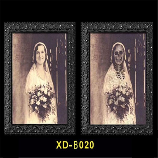 Horror Picture Frame Lenticular 3d Changing Face Scary Portraits Haunted Spooky