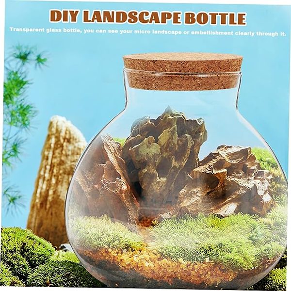 2 stk. Stoppere Beholder Låg Figur Lille med Forseglede Cm Hjem Glas Kugleformet Praktisk Planter Gennemsigtig Krukker Klar Landskabspleje Opbevaring Mikrolandskab