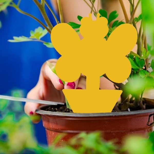50 insektsfällor, dubbelsidiga klistermärken Vattentäta gula antimyggväxter flugfångare klistermärken för trädgårdsväxter Blomfrukt