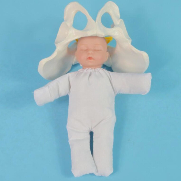 Mänsklig kvinnlig bäckenmodell Förlossningsmodell Anatomisk modell, Mini kvinnlig bäckenmodell