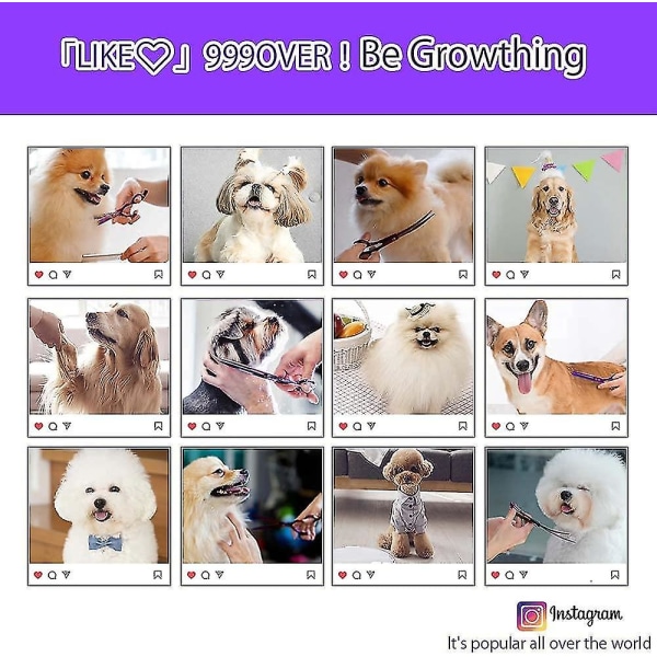 Dragon Grooming Saks Til Hunde Professionel 7.0 Tommer Hundesaks Sæt Med Tynde Saks Til Grooming Buet Pet Grooming Saks Sæt Hundehår