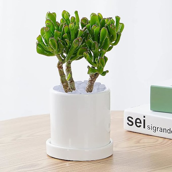 Glødende sten i mørket 300 stk. Hvide glødesten, glødende sten til Betta fisketank, akvarium, have, plantekar, landskabssti glød grussten