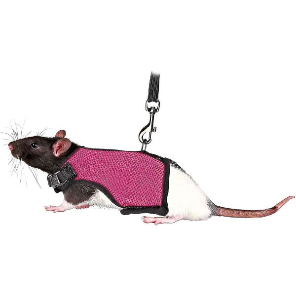 Sele för smådjur för råttor Nylon1st rosröd)