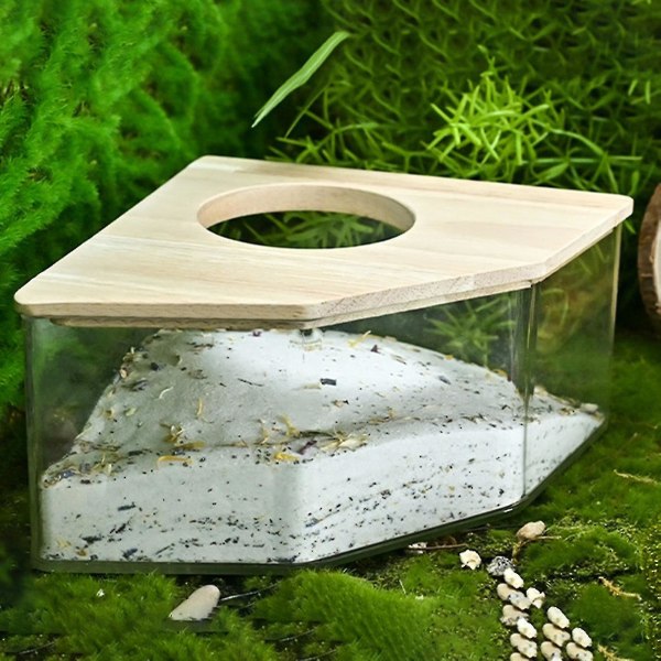 Hamster Badeværelse tykt panel Superior Habitat Viewable Small Pet Hamster Sand Container til hjemmet