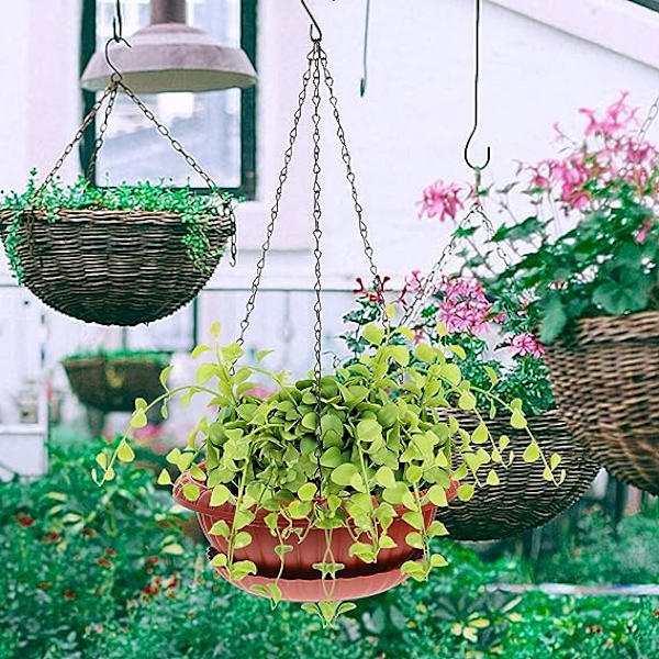 3 Set Hängande Planteringskrukor Hängande Blomkrukor Plastväxt Hängare Hållare Hängkorg med Bricka och Kedjor för Inomhus Utomhus Hemträdgård Kryddväxter Succulenter