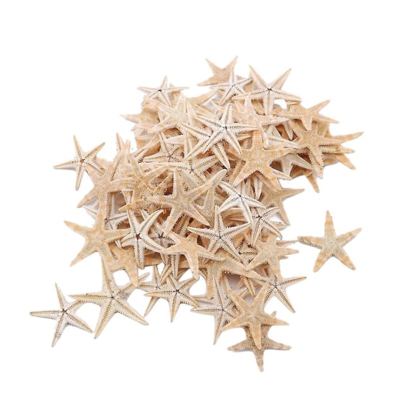 100 stk Naturlige Sjøstjerner Skall Strand Håndverk DIY Strand Håndverk 1-5cm