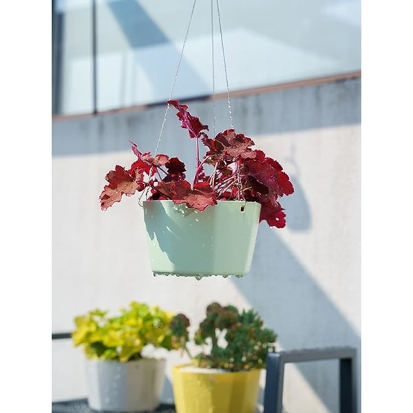 6-pack 6-tums hängande kruka Självvattnande hängande planteringskärl  Hängande blomkrukor inomhus Hängande krukor utomhus, växthängare med 3  krokar, avlopp cc5e | Fyndiq