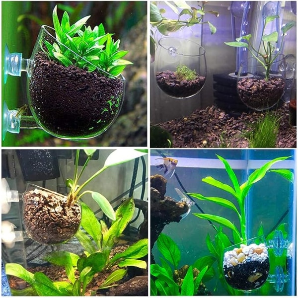 Akvariumväxtkruka, växthållare för akvarium i glas Akvariumkruka, växtbägare för akvariedekoration med 2 sugkoppar för akvarieinredning eller