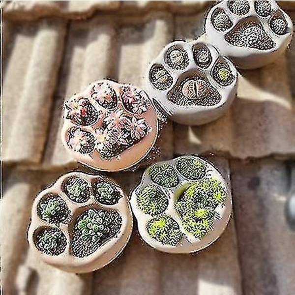 Sæt af 3 Kreative Cement Blomsterpotter Dyrefodspor Design Mini Sukkulenter Beholdere Ornamenter