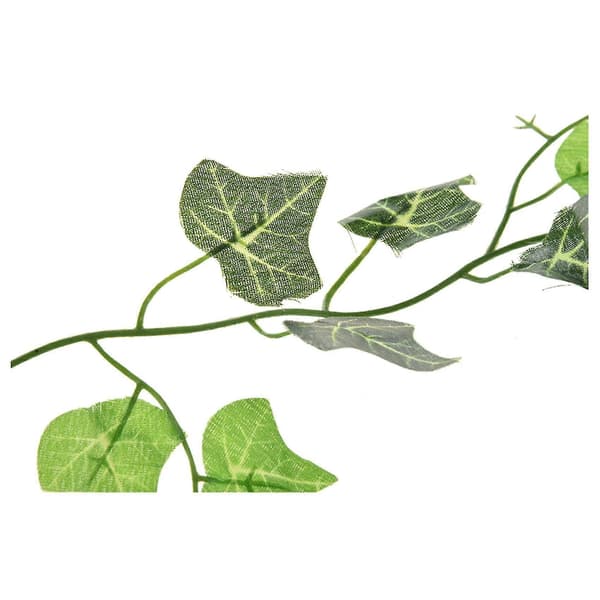 falsk växt grön murgröna blad vinstockar lövverk blomma-sötpotatisblad