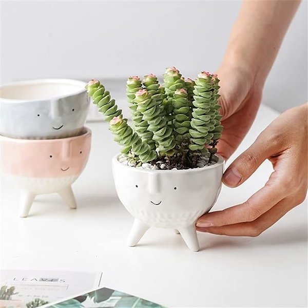 Söt Vas Succulent Blomkruka Handritad Cartoon Liten Blomvas Dekorativa Hantverk Blomsterarrangemang (Färg: C, Storlek: En Storlek)
