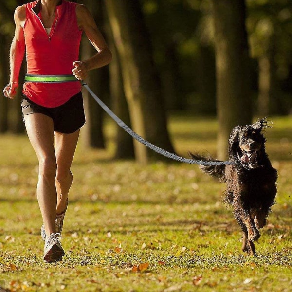 Løpende Hundelinje Sett Ideelt For Løping, Jogging Og Gåing - Håndfri Line