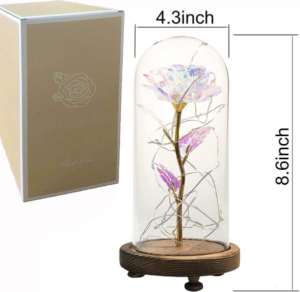 Halcyon Galaxy Rose i Glaskuppel -