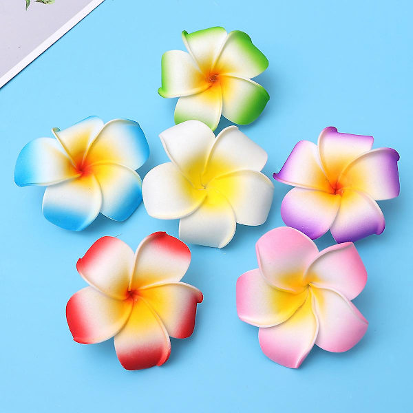 6 stk Frangipani Hårnåle Hårklips Brud Barrette Hårklips Hårtilbehør Til Kvinder Dame