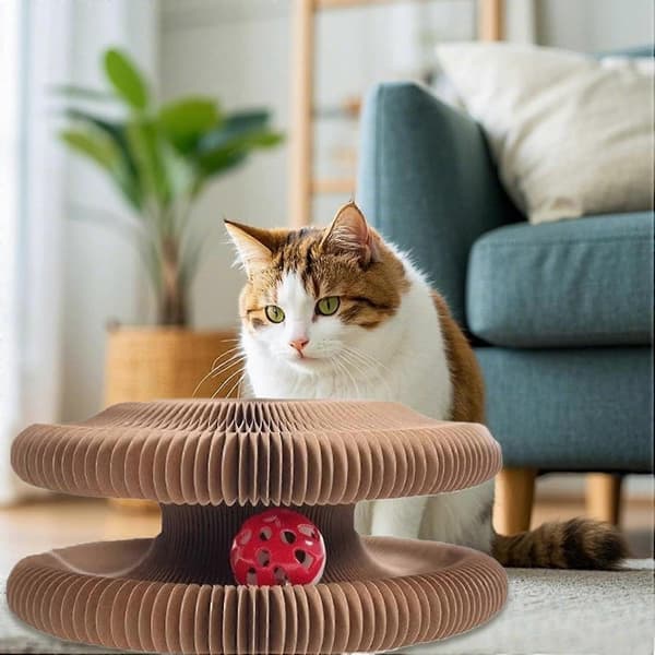 Klorebrett for innekatter, slitesterk plate for møbelbeskyttelse og lek