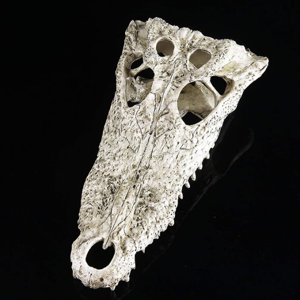 Akvarie Dyrehoved Dekorationer Fisk Reptil Skildpadde Tank Dekoration Ornament Kæledyr Krokodille
