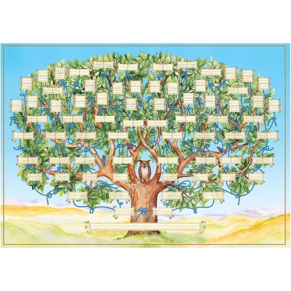Täytä sukupuukaavio, täytettävä sukupuukaavio, 60 cm/23,62 tuumaa sukupuukaavio Sukututkimus, lahjoja lapsille perheensä tuntemiseksi