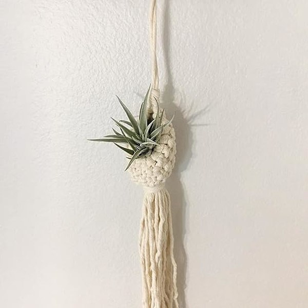 Blomsterkurv Ananas Form Landskabsstilfuld Hjemhave Planteophæng til Kontor B