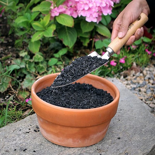 Horticultural Charcoal til planter 1 qt af Doter, helt naturligt hårdttrækul, aktivt kul til jordforbedring, orkideer, terrarier (1qt)