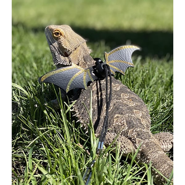 Adjustable Lizard Leash Bearded Dragon Harness Cool Leather Wings